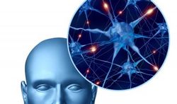 Quand il faut improviser, le cerveau connaît la chanson
