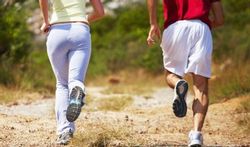 Entraînement physique : quel est le partenaire idéal ?