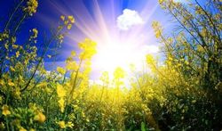 Un rayon de soleil, mais que ça fait du bien !