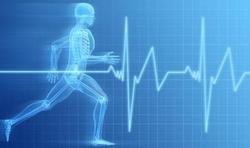 Pour brûler des calories, plutôt marcher ou plutôt courir ?
