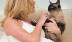 Grossesse : attention à la toxoplasmose